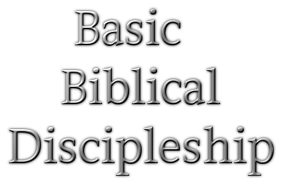 Basic Biblical Discipleship 2 Basic Biblical Discipleship 2
