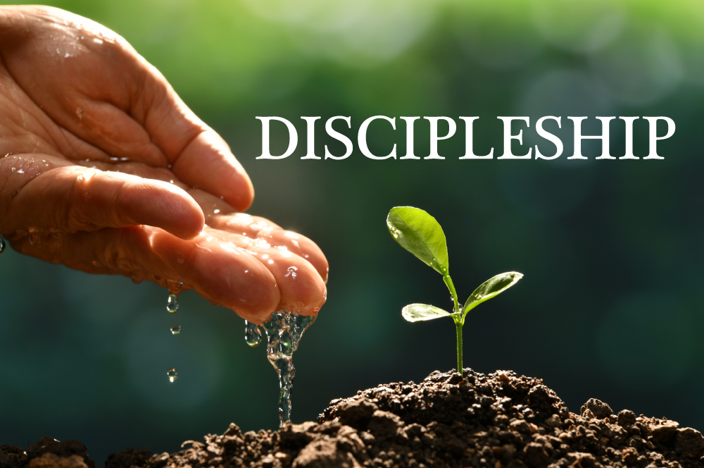 Discipleship Hand-Water-Plant Discipleship Hand-Water-Plant